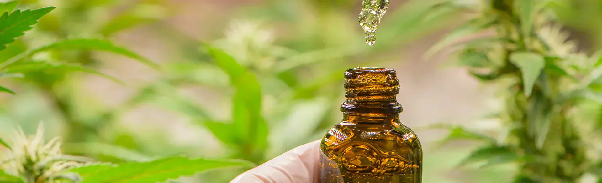 What to Expect When Trying Delta-8 for the First Time