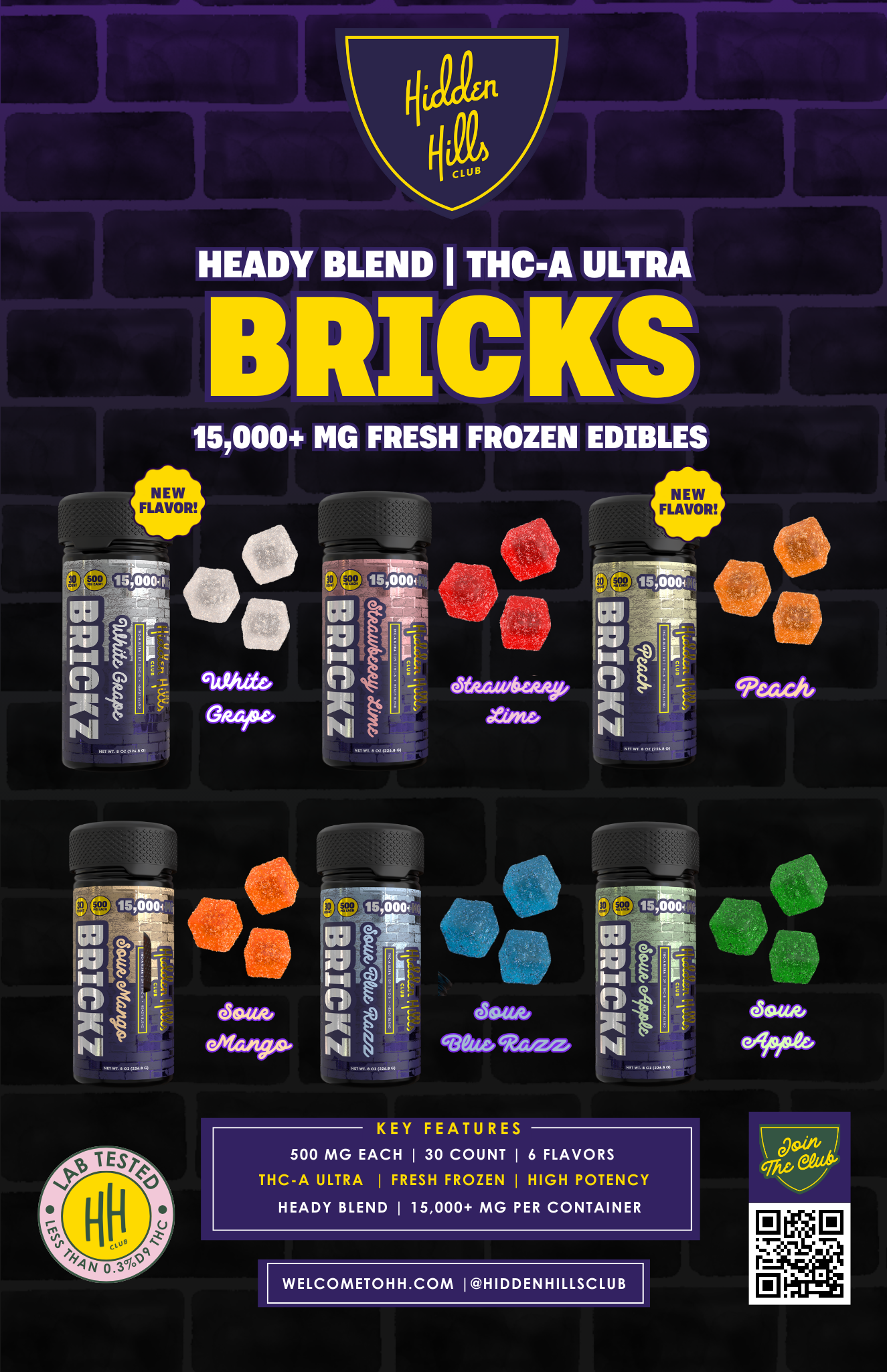 Hidden Hills Brickz Gummies 30 Pack Sales Sheet