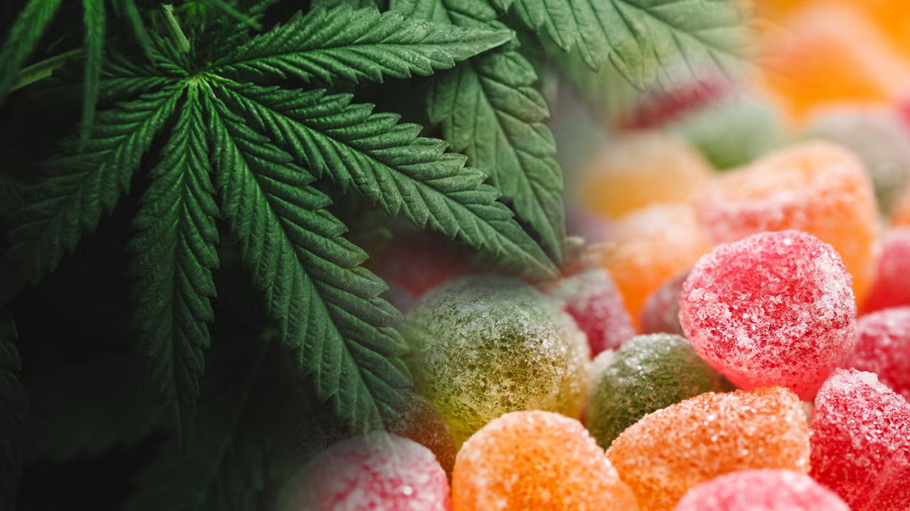 CBD Gummies for Pain: What Science Says (2026 Review)