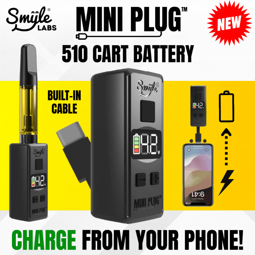 Smyle Labs Mini Plug 510 Battery 450mAh 1.5-4.2V USB-C