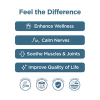 CBDFX Soft Chews for Dogs | 600mg CBD