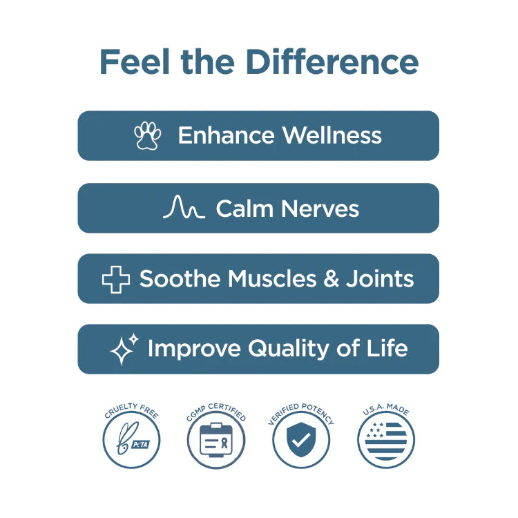 CBDFX Soft Chews for Dogs | 600mg CBD