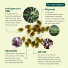 R&R CBD SLEEP SOFTGELS FULL SPECTRUM INGREDIENTS AND SPECIFICATIONS