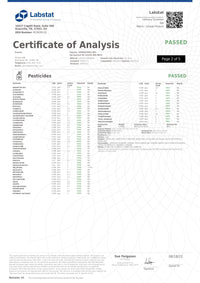 Snoozy THC & CBD Vegan Hemp Gummies