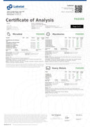 Snoozy THC & CBD Vegan Hemp Gummies