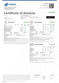 Snoozy THC & CBD Vegan Hemp Gummies
