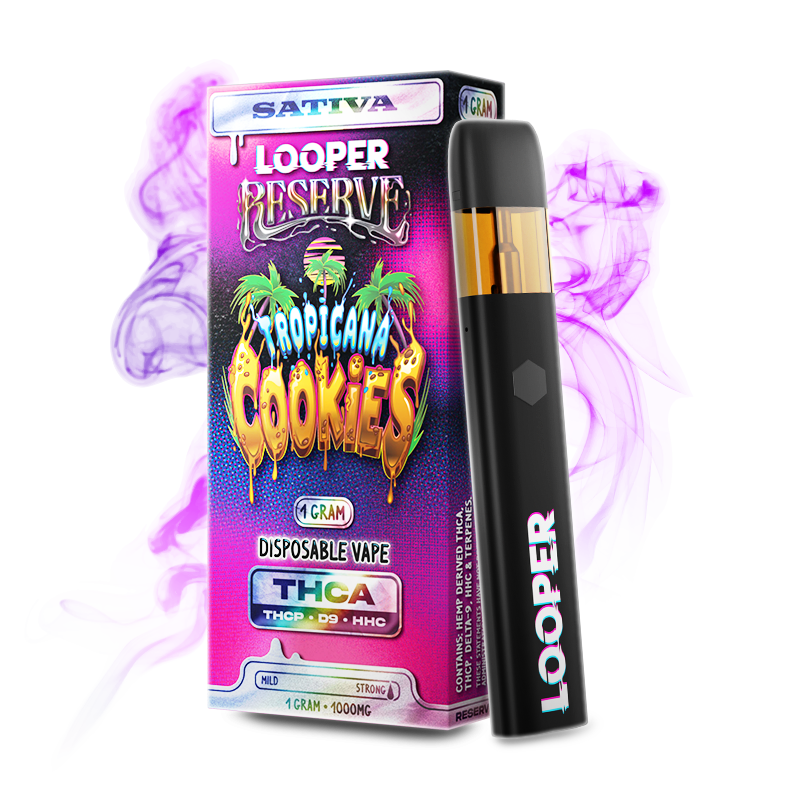 Looper Reserve - THC-A+THC-P Disposable - (1g) - MK Distro