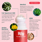 R&R 2500mg CBD Pain Roll-On with MSM