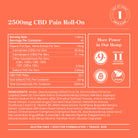 R&R 2500mg CBD Pain Roll-On with CBG