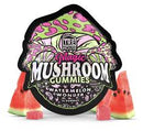 Buy TRE House Magic Mushroom Gummies High Potency
