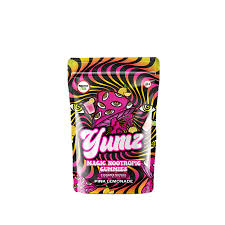 YUMZ Magic Nootropic Mushroom Gummies 5 Pack Vegan Focus Gummies
