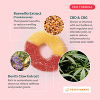 R&R CBD Pain Gummies with CBG Devils Claw & Boswellia 30ct